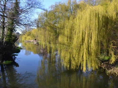 Bridge House B&B Coltishall Εξωτερικό φωτογραφία