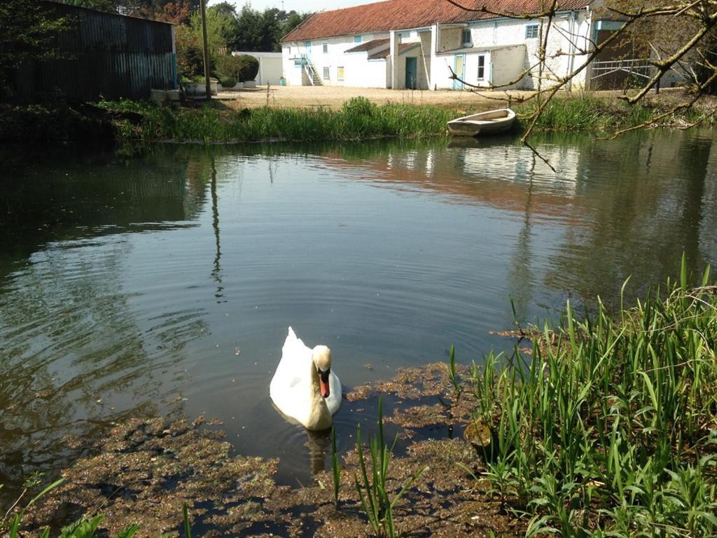 Bridge House B&B Coltishall Εξωτερικό φωτογραφία